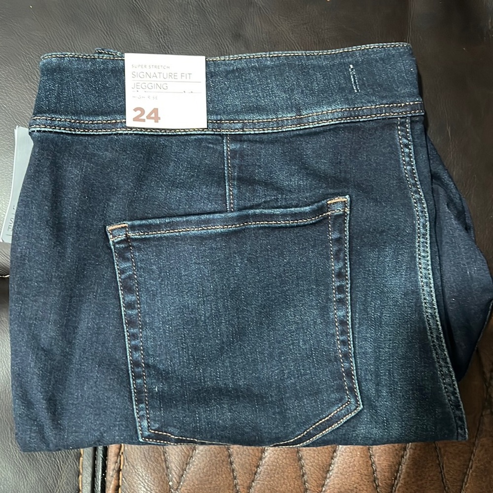 Lane Bryant Jeggings High-Rise